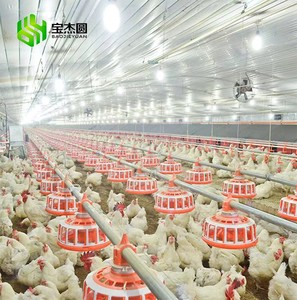 Chảo Cho Gà Hệ Thống Cho Ăn Tự Động Cho Gia Cầm Hệ Thống Dây Chuyền Cho Gia Cầm Ăn - Product Image 1