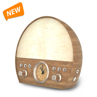 Radio FM HiFiD, machine à bruit blanc pour adultes, haut-parleur avec lumière LED et réveil lumineux
