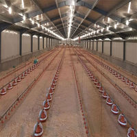 Bâtiment de poulailler galvanisé à chaud pour élevage avicole à grande échelle (5000-20000 oiseaux) (acier Q345B/Q235B/Q355B)