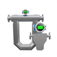 Medidor de Flujo Másico Coriolis Yunyi de Alta Precisión, Medidor de Flujo Másico Digital para Petróleo, Gas y Productos Químicos con RS485 4-20mA Ex d