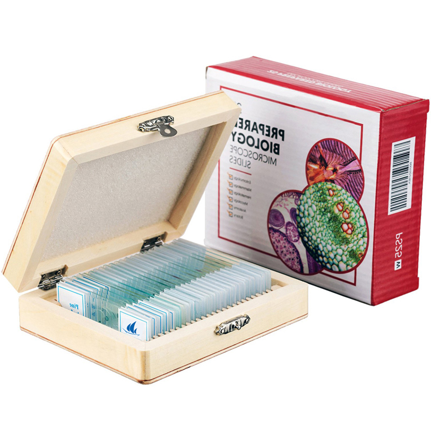 Высококачественные Студенты колледжа использовали 25 шт. стекла, приготовленного микроскопа, скольжения по гистологии и эмбриологии