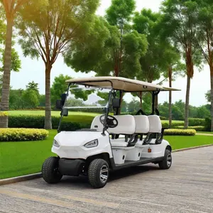 Mini carros de golf TONGCAI, carrito de golf eléctrico de 6 asientos con freno de disco delantero, carrito de golf eléctrico