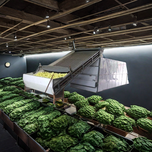 Macchina per l'essiccazione della canapa essiccatore della canapa del fiore dell'essiccatore della maglia della foglia dell'erba del fiore dell'essiccatore della canapa - Product Image 1