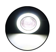 BLANCO + blanco DRL