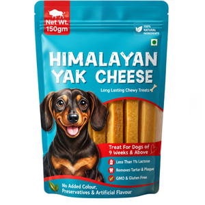 Friandises à mâcher douces au <span class=keywords><strong>fromage</strong></span> de yak de l'<span class=keywords><strong>Himalaya</strong></span> entièrement naturelles, durables, saines, digestibles, <span class=keywords><strong>pour</strong></span> la santé dentaire, riches en protéines, en calcium, sans gluten - Product Image 1
