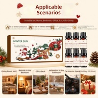 Ensemble d'huiles essentielles en marque privée, aromathérapie, parfum d'ambiance pour la maison, emballage cadeau, spa relaxant