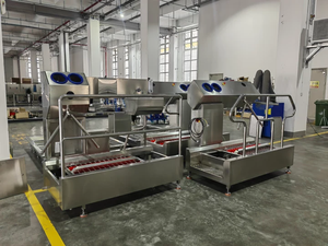 Máquina Automática de Lavado de Botas de Grado Higiénico para la Entrada y Salida de Fábricas de Alimentos, Talleres y Mataderos - Product Image 4