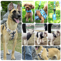 Harnais et laisse pour chien en nylon néoprène de luxe avec logo personnalisé Kit d'accessoires réglables pour animaux de compagnie