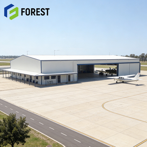 Solution clé en main, hangar d'avion en structure acier durable, résistant au vent, pour avions légers, prix compétitif - Product Image 1