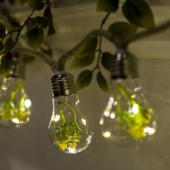 Kanlong new idea 30pc mini LED 10pc led bulb string light green plant inside rope wire lights fairy home ornaments