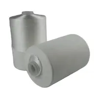 China beste nylon gewinde weiß farbe polyester hochfesten nähgarn für nähen verwenden 250D/3