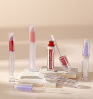 Tube d'emballage imperméable de maquillage d'applicateur de silicone de teinte de lèvre mate d'étiquette