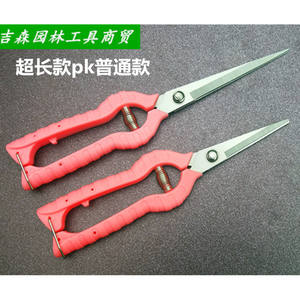 Sécateur de taille pour glycine de montagne de Taïwan 62, tête droite, en acier inoxydable, design papillon, pour la taille des vigne fruitières - Product Image 3