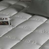 Surmatelas en coton de style hôtel 5 étoiles, épaissi, chaud, respirant, lavable, anti-acariens, antibactérien, usage hospitalier