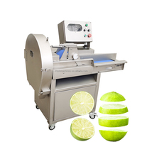 Sus304 Groenten Snijden Stam Groente Aardappel Ui Aubergine Lotus Wortelsnijder Groente Fruit Snijden Shredder Machine
