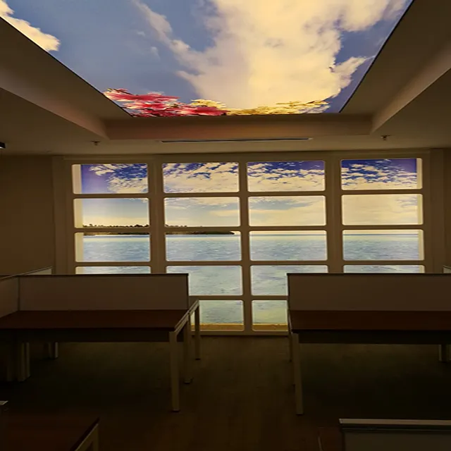 Film stampato digitale del soffitto di tratto del pvc 3d per il progetto, film morbido del cielo blu del pvc ha stampato il film