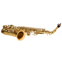 Factory Direct Sales of Professional Advanced Woodwind Instruments Saxophone