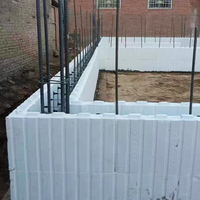 Nouveau matériau écologique en polystyrène expansé (EPS) de 250 mm, blocs de coffrage isolés en béton (ICF), panneaux de coffrage modernes pour la construction
