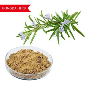 Factory Price High Quality Rosemary Powder Rosemary Extract Rosmarinic Acid 35% Rosemary Extract