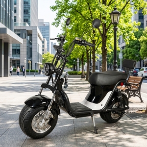 Hot Selling Brazil 1000w 60v 20ah Lithium Battery Rear Hub Motor Aluminum <b>Frame</b> Daily Commuting X21 60v Voltage - Product Image 1