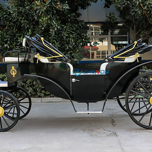Carruaje de Caballos Eléctrico de Alta Calidad, Estilo Cenicienta, sin Caballos, para Venta, Precio de Fábrica - Product Image 4