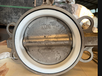 Katup Kupu-kupu Karbon DN150/300