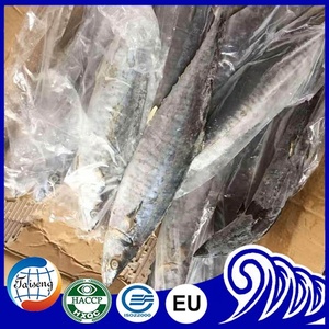 ปลาแมคเคอเรลคิงฟิชแช่แข็งคุณภาพดีขาย - Product Image 6