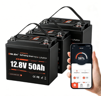 Batterie au lithium Enlzh 12,8 V 50 Ah auto-chauffante pour stockage d'énergie solaire, Bluetooth en option pour système d'énergie solaire
