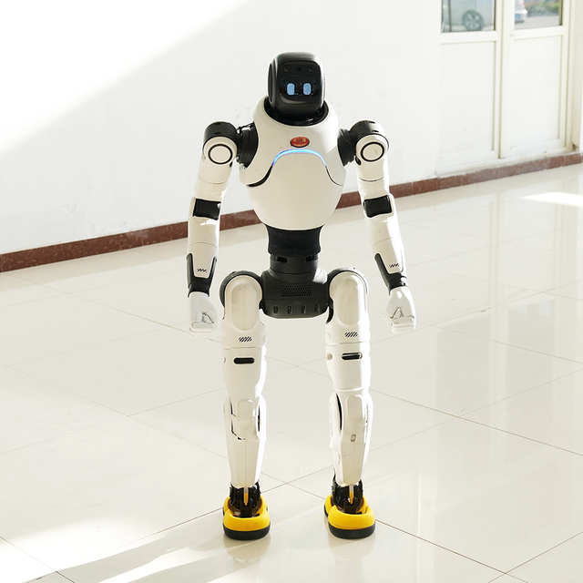 Intelligent Humanoid Service Robot Multi-Functional AI Robot with Voice and Visual Interaction