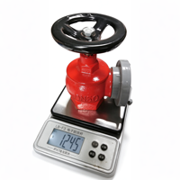 Ensemble de raccords pour tuyaux d'incendie Jiayi en aluminium, comprenant une buse à jet direct, une vanne d'incendie et une raccord Storz, DN50 DN65