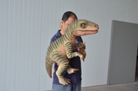Marionnette de dinosaure Velociraptor bébé animatronique réaliste en métal, contrôlée à la main, personnalisable pour centres commerciaux et garderies