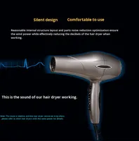 Sèche-cheveux compact portable super puissant 2000W Souffleur haute puissance Sèche-cheveux japonais coréen Double usage pour la maison Salon Voyage