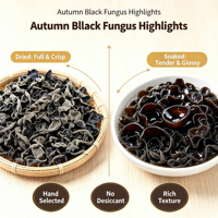 Champignons noirs sauvages d'automne de qualité supérieure 500g, champignons d'oreille de bois séchés naturels, sans additifs, ingrédient sain pour tous