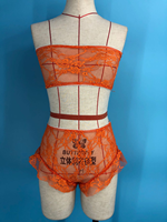 Ensemble de Lingerie Érotique pour Femme, Nuisette et Pyjama en Dentelle Transparente, Soutien-gorge et Culotte Sexy