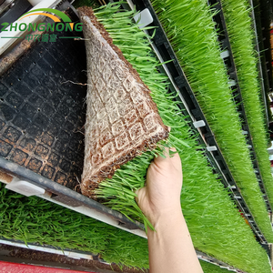 Machine automatique haute performance <span class=keywords><strong>pour</strong></span> la culture de <span class=keywords><strong>semis</strong></span> de riz, ligne de pépinière de riz <span class=keywords><strong>pour</strong></span> l'agriculture - Product Image 3