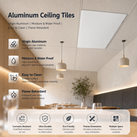 Plaques de plafond suspendu en aluminium pour la maison, panneaux de plâtre pour la décoration de restaurants, papier texturé français 600*600mm, moderne
