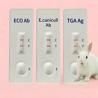 Nouveaux tests rapides vétérinaires sur bandelettes pour la détection d'Eimeria et de Coccidium chez les lapins.