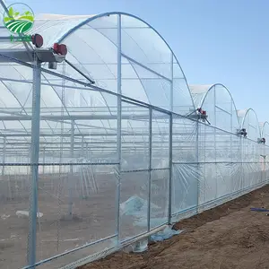 Agriculture Multi-span Arch Plastic Planting Tomato And Strawberry Greenhouse