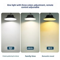 LumaNaga Plafonnier Solaire LED, Lampe Solaire Intérieure Étanche, Lustre Solaire pour Cour