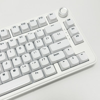 Spot Wholesale Minimalist White Keycaps MDA Height 115-key Side-printed Characters PC Semi-transparent Luminous Keyboard Gorras