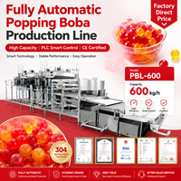 Machine automatique de production de billes de jus éclatantes (Popping Boba) en acier inoxydable 304, avec PLC haute performance, pour fabricants avancés