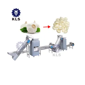 KLS Garlic Separating Peeler Machine Production Processing Large Scale Garlic Peeling Machine