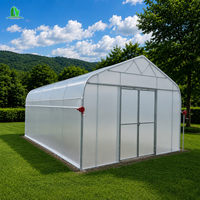 Serre agricole galvanisée de 6 m de large avec parois droites de 2 m, film PE résistant aux UV de 200 microns, diffusion de la lumière, serre de pépinière