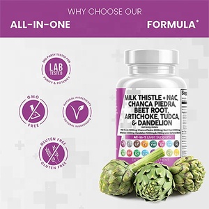 दूध थीस्ल एनएसी Chanca Piedra चुकंदर की जड़ आटिचोक Dandelion जड़-जिगर शुद्ध Detox और मरम्मत कैप्सूल प्लस TUDCA Choline और अदरक - Product Image 5