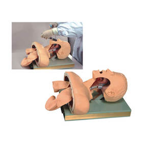 Modello di addestramento per intubazione <span class=keywords><strong>della</strong></span> Trachea simulatore di <span class=keywords><strong>formazione</strong></span> multifunzionale avanzato di <span class=keywords><strong>scienza</strong></span> medica - Product Image 2