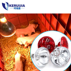 Ampoule isolée 175W 275W chauffage <span class=keywords><strong>animal</strong></span> nourriture frites chauffage séchage ampoule chauffage infrarouge - Product Image 3