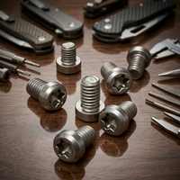 Custom Cold Heading Metric M2.5 Steel Head Chamfered Screws Plain Finish Standard Thread Other Grade