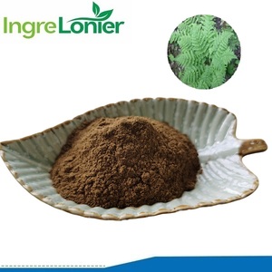 Fornitura di Polypodium Leucotomos polvere di Polypodium estratto di Polypodium Leucotomos estratto alla rinfusa 10:1 - Product Image 2