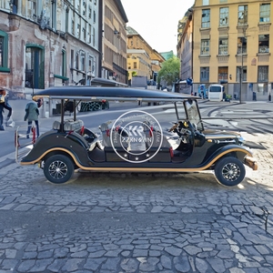 Autobús Turístico Antiguo de 8 Plazas, Carro de Golf Eléctrico, Vehículo de Club, Venta al Por Mayor 2025 - Product Image 3