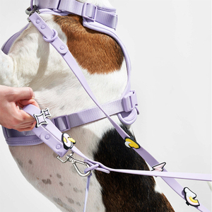 DIY <strong>Dog</strong> <strong>Leash</strong> Set with Clip Hook and Durable Rope Make Your Own Personalized <strong>Dog</strong> <strong>Leash</strong> for Training Walking - Product Image 3